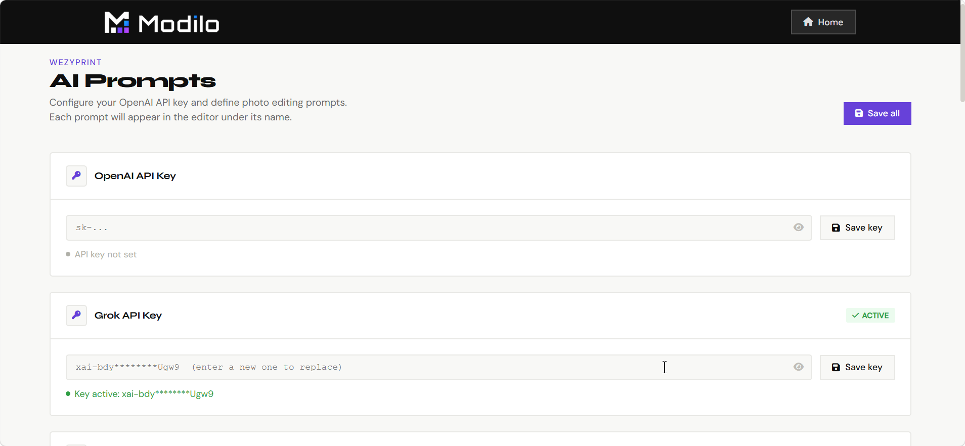 AI provider API key settings
