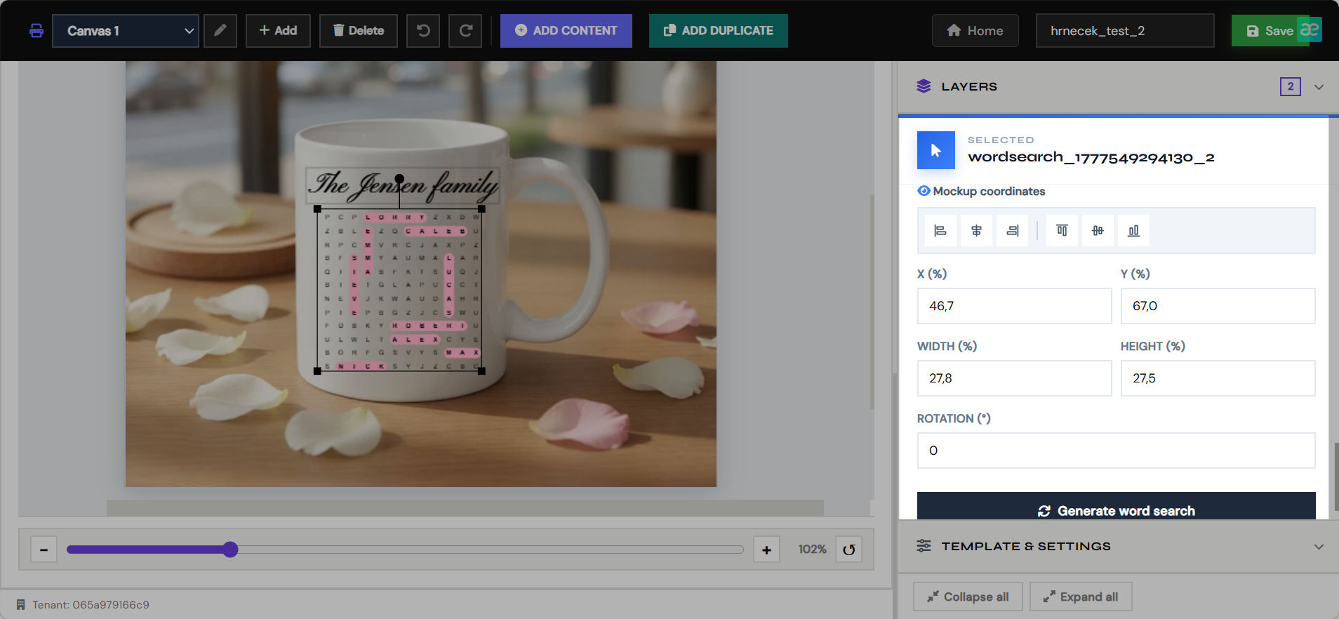 Preview canvas coordinate controls
